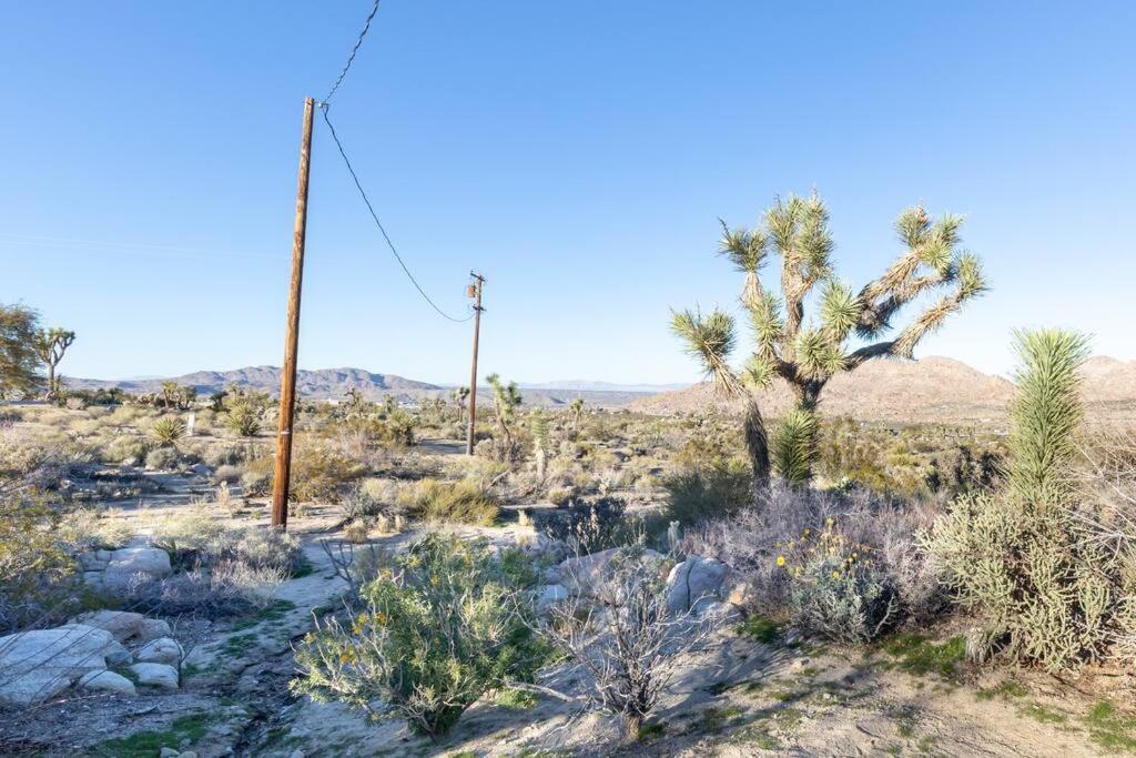 Steph'S Panorama Paradise-Nat'L Park Minutes Away Joshua Tree Exterior foto